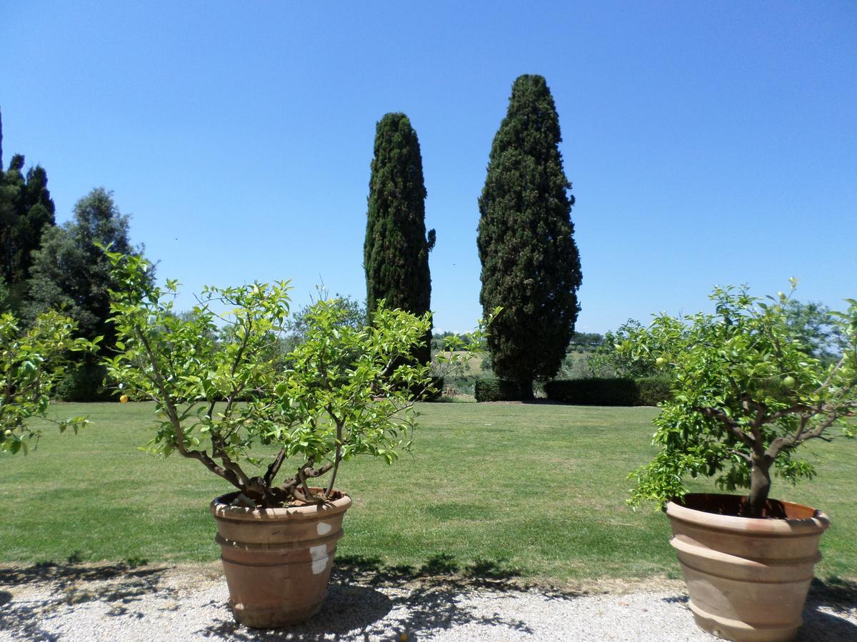 Tenuta Villa Rocchi Торита ди Сиена Екстериор снимка