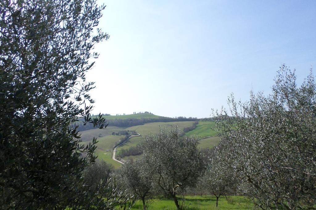 Tenuta Villa Rocchi Торита ди Сиена Екстериор снимка