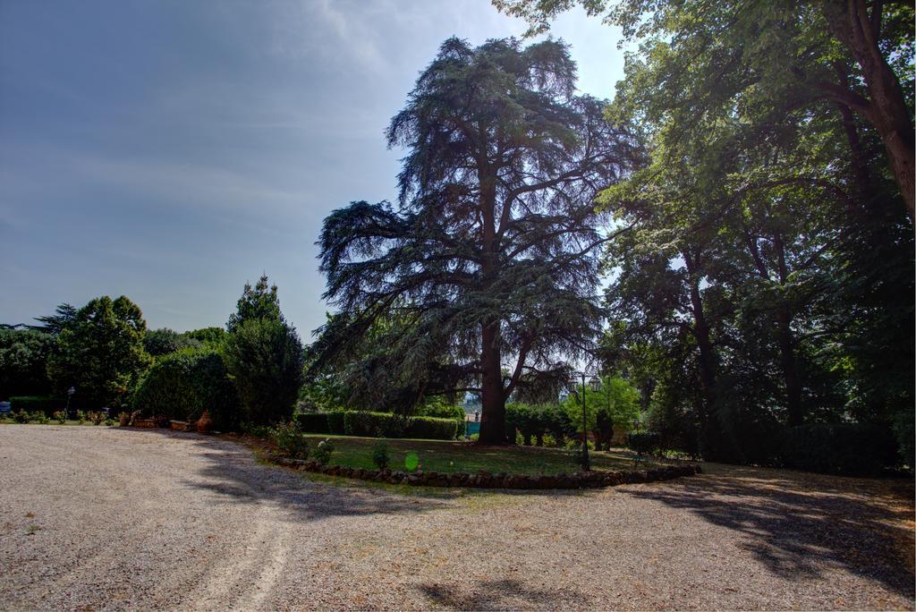 Tenuta Villa Rocchi Торита ди Сиена Екстериор снимка